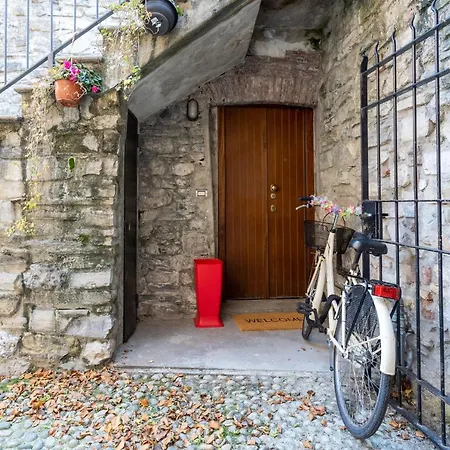 Apartament Ice Queen Chamber By Rent *